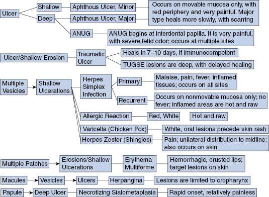 4 Differential Diagnosis Of Common Oral Soft Tissue Lesions Pocket