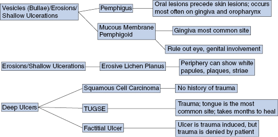 c4-fig-0002