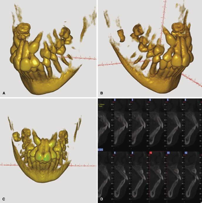 c4-fig-0002