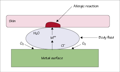 c45-fig-0003