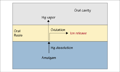 c45-fig-0004