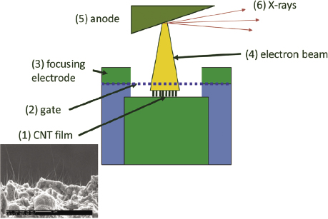 c5-fig-0001