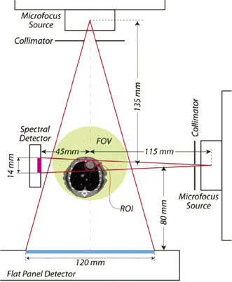 c5-fig-0004