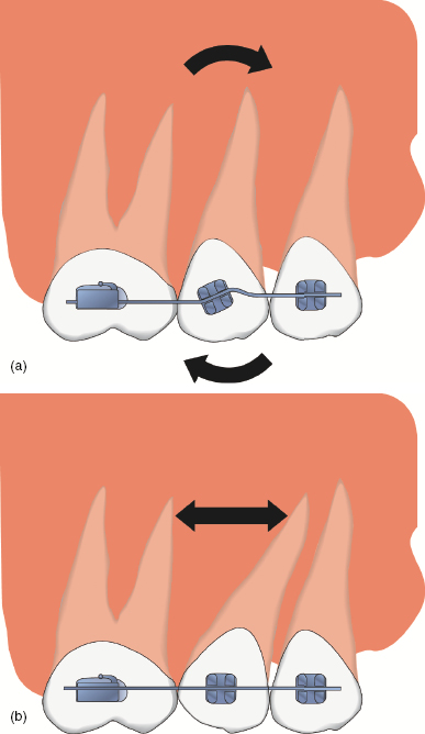 c5-fig-0008