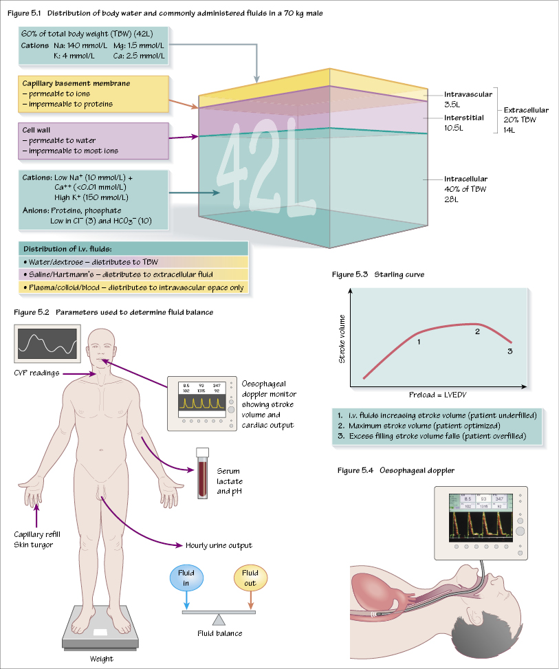 c5-fig-5001