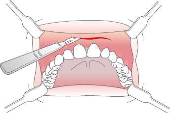 c6-fig-0003