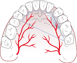 c6-fig-0004