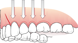 c6-fig-0005