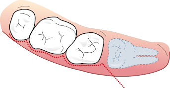 c6-fig-0007