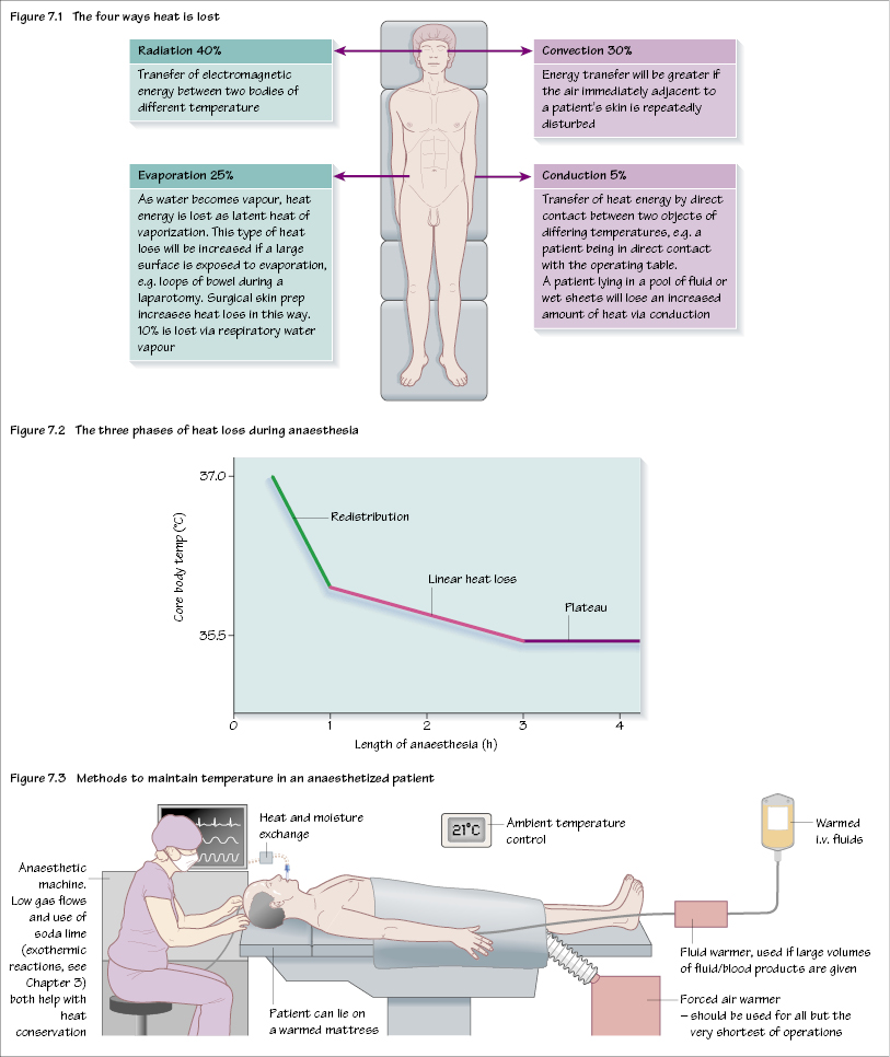 c7-fig-5001