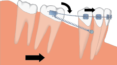 c8-fig-0001