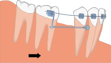 c8-fig-0004