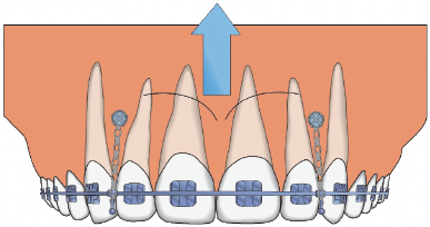 c9-fig-0001