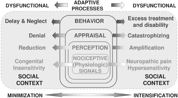 c9-fig-0001