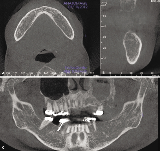 c9-fig-0002