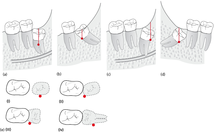 c9-fig-0003