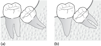 c9-fig-0008