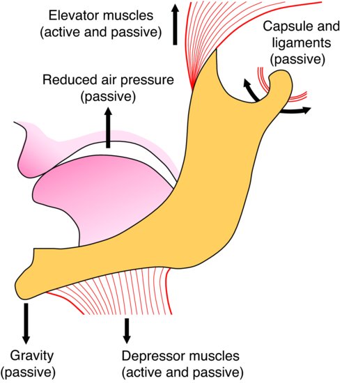 ch05fig003.eps