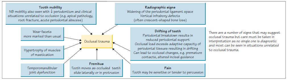 occlusal trauma signs