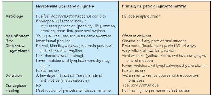 necrotizing ulcerative gingivitis vs necrotizing ulcerative periodontitis