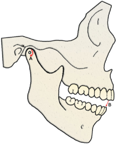 ch5-fig5.1.jpg