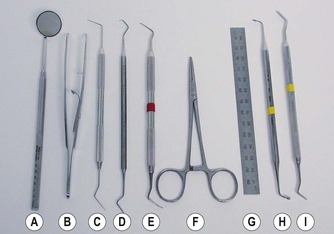 dental endo set up kit