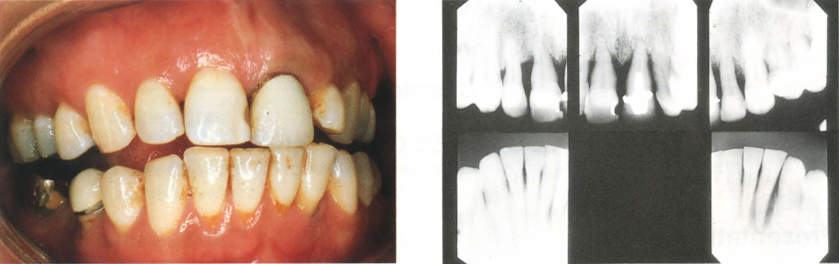 fig1-1e1.jpg