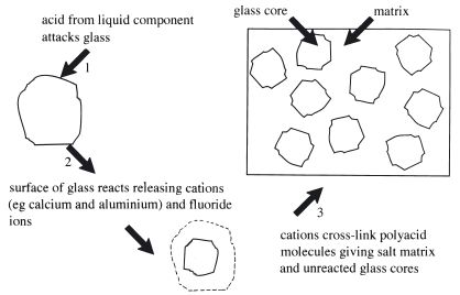 properties of glass ionomer cement