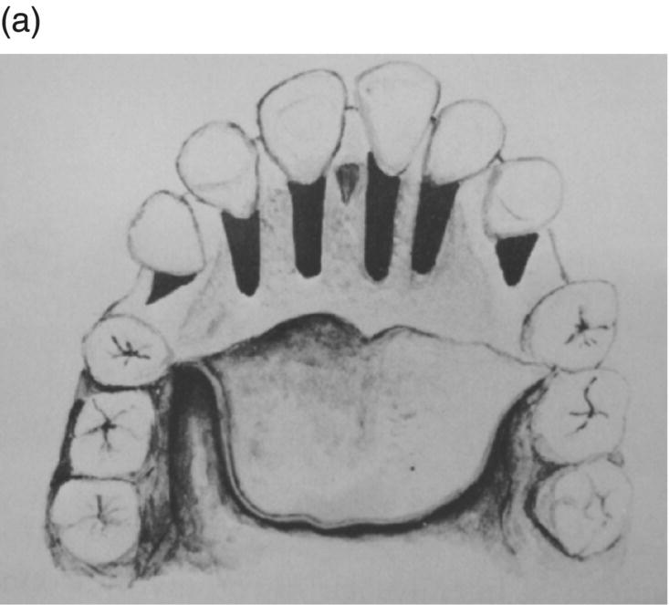 c1-fig-0003