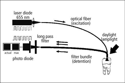 Fig.1.tif