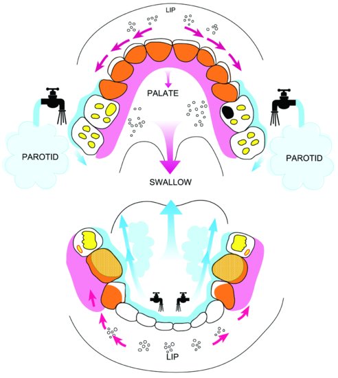 ch04fig002.eps